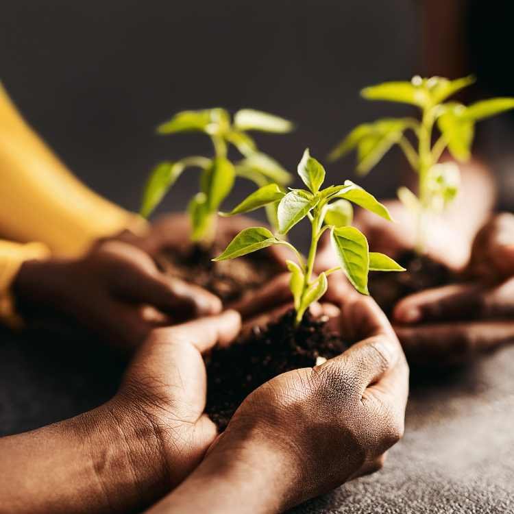 Corporate Social Responsibility